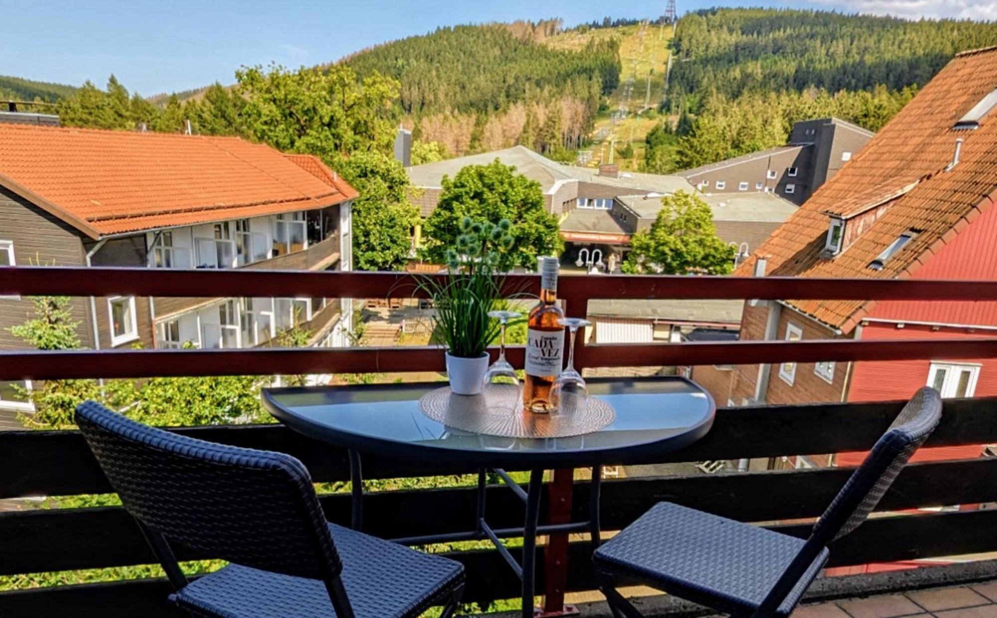 Chill Out Apartment Bergblick Goslar Luaran gambar