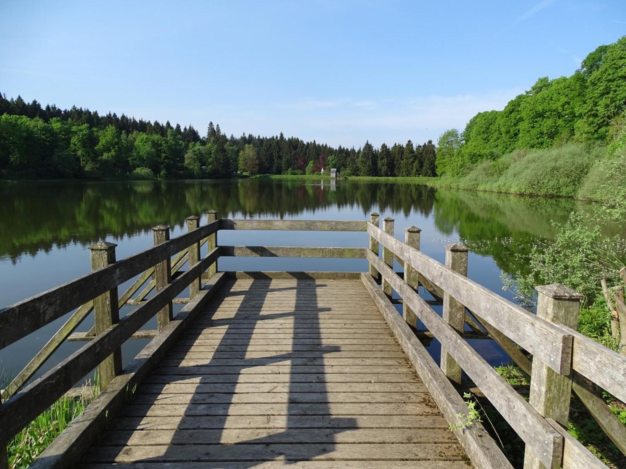 Chill Out Apartment Bergblick Goslar Luaran gambar