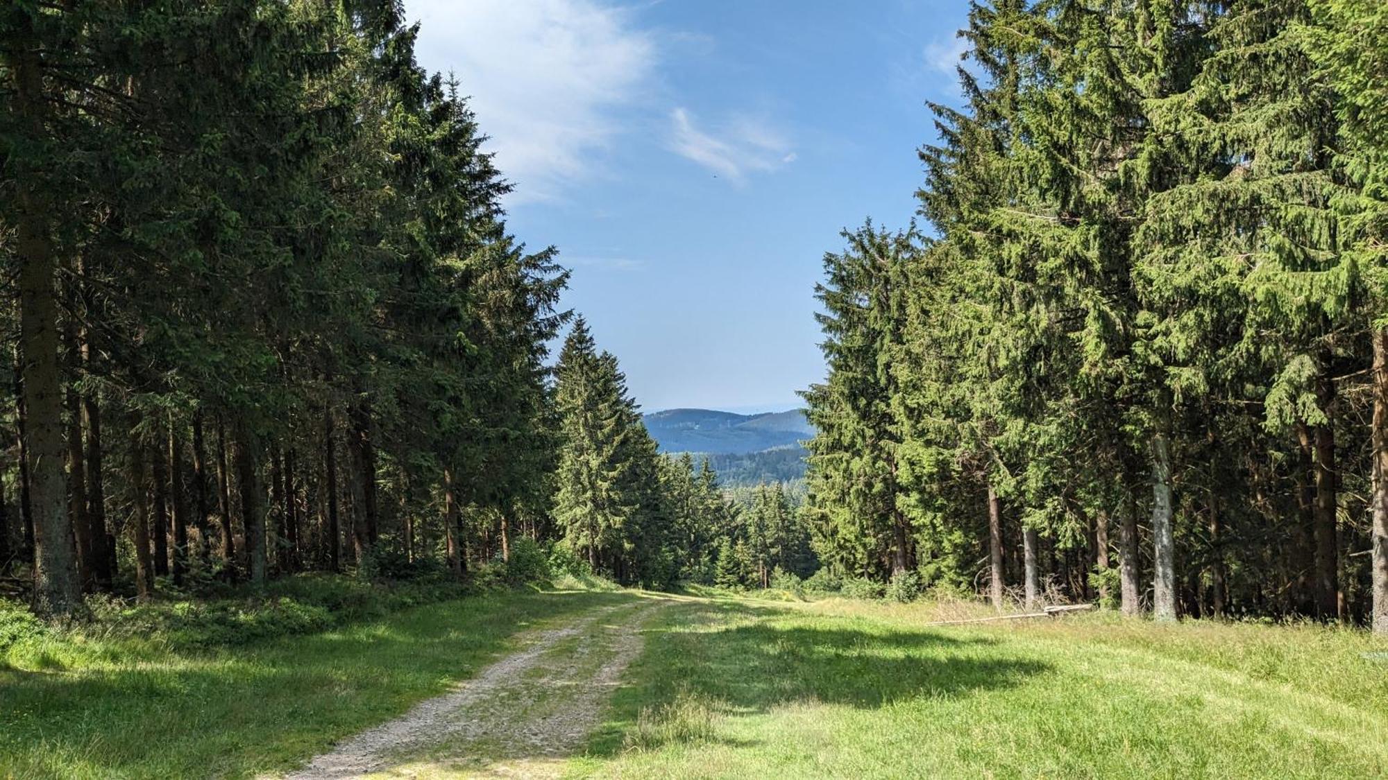 Chill Out Apartment Bergblick Goslar Luaran gambar